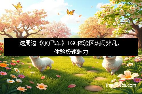 送周边《QQ飞车》TGC体验区热闹非凡，体验极速魅力